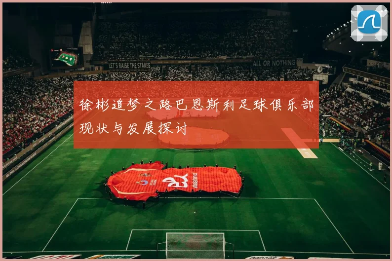 徐彬追梦之路巴恩斯利足球俱乐部现状与发展探讨