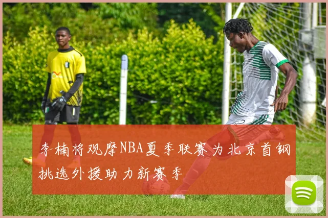 李楠将观摩NBA夏季联赛为北京首钢挑选外援助力新赛季