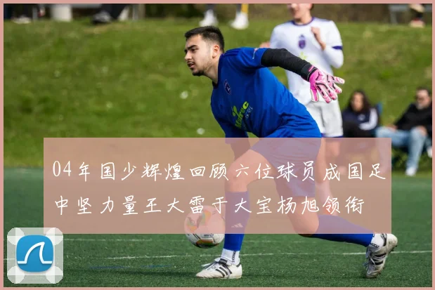 04年国少辉煌回顾六位球员成国足中坚力量王大雷于大宝杨旭领衔