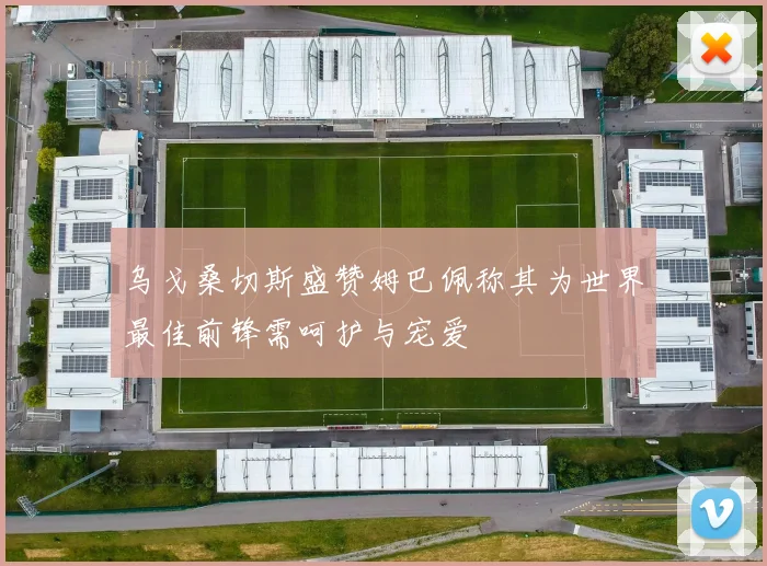 乌戈桑切斯盛赞姆巴佩称其为世界最佳前锋需呵护与宠爱