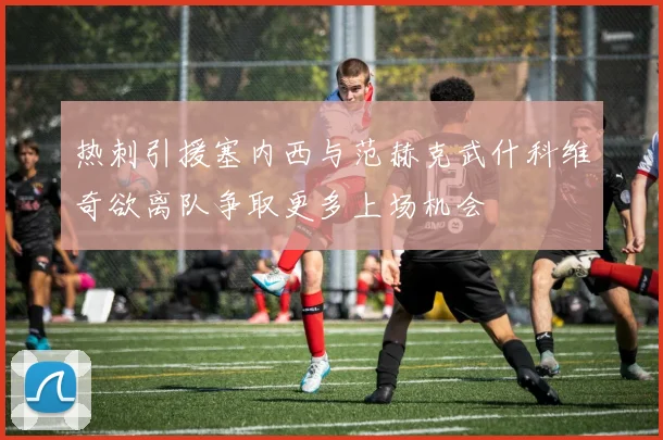 热刺引援塞内西与范赫克武什科维奇欲离队争取更多上场机会